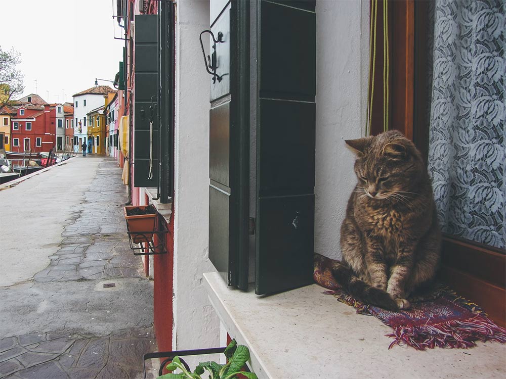 Cosa vedere a Burano